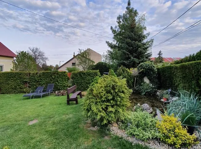 Ilike * بالاتونفوريد